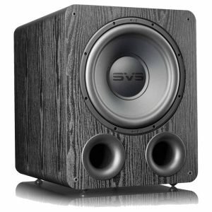 PB-1000 Pro SVS Subwoofer Driver 10inch