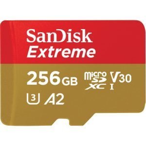 Sandisk 256GB MicroSD Card